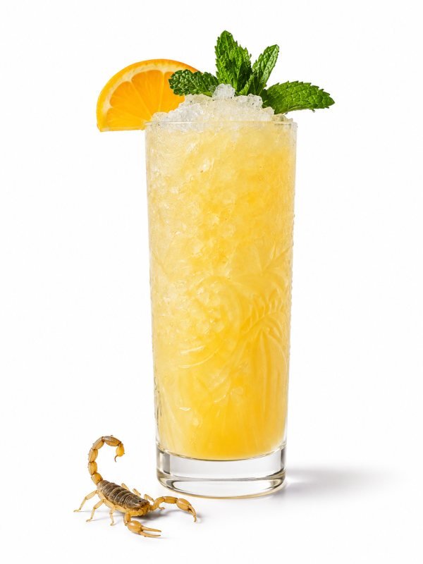 SCORPION